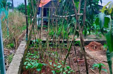 CHÍNH CHỦ bán nhà vị trí đẹp tại Xã Ninh Thới, Cầu Kè, Trà Vinh