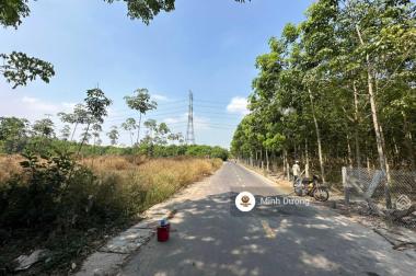 Giảm 3 tỷ  lô đất 1999m2 mặt tiền 20m đường 24m An Điền Bến Cát