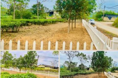⭐️Bán đất vị trí đẹp tại Mỹ Bằng, Yên Sơn, Tuyên Quang, 0866899686