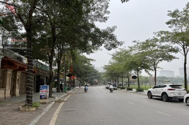 Bán biệt thự đơn lập lô góc 178m2 TT2 thành phố Giao Lưu, 3,5 tầng, giá 180tr/m2