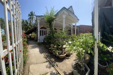 Sở Hữu Ngay Lô Đất Vị Trí Đắc Địa Tại Tân Thiện - Tân Thành Bình - Mỏ Cày Bắc - Bến Tre