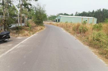 1000m2, thổ cư 100m2 ( 2 mặt tiền đường nhựa ) nằm gần QL13, Bình Dương