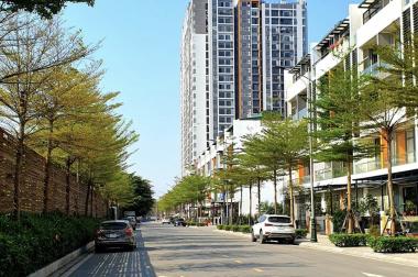 Duy nhất căn hộ view Sông 2PN diện tích 73m2 tầng 14 toà A chung cư Bình Minh Garden giá 2,6x tỷ