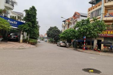 250m2 đất mặt phố kinh doanh VIP Trâu Quỳ, Gia Lâm, Hà Nội. Lh 0989894845.