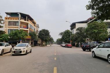 250m2 đất mặt phố kinh doanh VIP Trâu Quỳ, Gia Lâm, Hà Nội. Lh 0936000458.