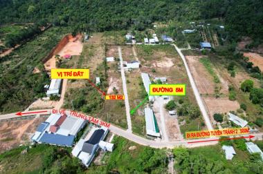 CẦN BÁN ĐẤT TẠI ĐƯỜNG CÂY THÔNG NGOÀI PHÚ QUỐC