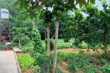 Bán đất trước mặt ngõ ngay các cụm công nghiệp. gần giáo xứ Đồng Sơn