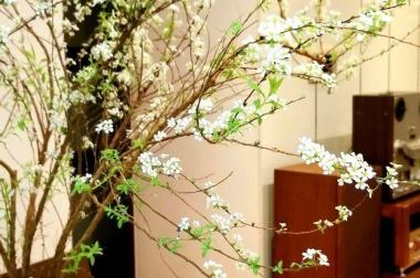 Bán nhanh căn 2PN, 90m, view hồ, full đồ, giá rẻ, đẹp nhất toà A Mulberry Lane.