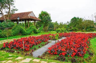 Bán Gấp 4,6ha Khu Du Lịch Cao Nguyên Vân Hòa, View Hồ, đang kinh doanh 80-100 triệu/tuần