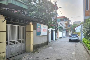 Bán đất hoa hậu Lâm Tiên- Đông Anh