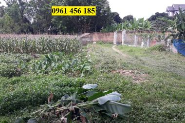 Bán đất Hiệp Hòa, Bắc Giang: 3 lô 124m2, mặt tiền 6m, Ô tô vào, chỉ 450tr/lô