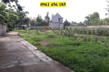 Bán đất Hiệp Hòa, Bắc Giang: 3 lô 124m2, mặt tiền 6m, Ô tô vào, chỉ 450tr/lô