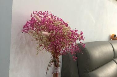 Chính chủ cần bán gấp căn Hapulico 3PN, 118m, view thoáng, giá chỉ 4.9 tỷ
