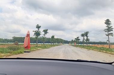 Bán đất chợ Nhật Huy phường Chánh Phú Hòa, Thị xã Bến Cát.