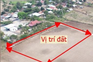 ĐẤT NỀN SỔ SẴN GIÁ NGỘP GIẢM MẠNH chỉ 60 triệu / 100m2