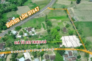 Siêu rẻ chỉ 322 triệu sở hữu ngay lô đất đẹp 209m2 trung tâm Xuân Phước, Đồng Xuân có sổ hồng