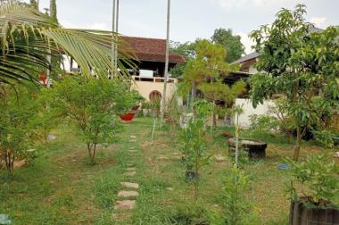 Bán gấp biệt thự 2500/1985m2, Bình Mỹ, Củ Chi, chỉ 7tr/m.