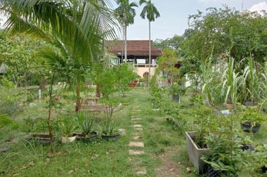 Bán gấp biệt thự 2500/1985m2, Bình Mỹ, Củ Chi, chỉ 7tr/m.