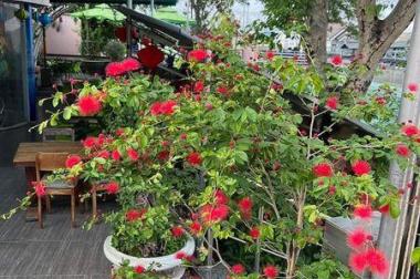 Chính chủ sang nhượng gấp Quán Cafe  162 Bà Triệu, TP Kon Tum.