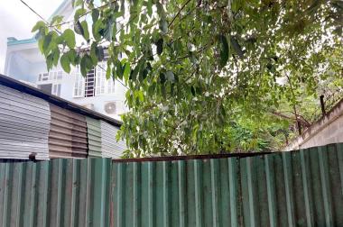 Giảm Sập Sàn Bán Đất Thổ Cư Linh Xuân Thủ Đức 120m2_ 5x24m, Hẻm Xe Tải, SHR Vuông Vức Chỉ Nhỉnh 4