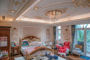 Cần bán nhanh căn biệt thự Chateau VIP nhất khu, rẻ nhất khu, với đầy đủ nội thất, gần sông lớn.