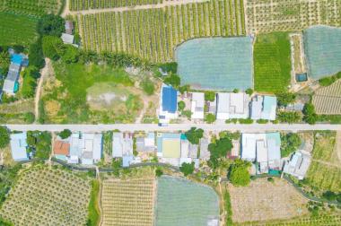 Lợi nhuận tăng lên từng giây khi sở hữu dự án đất nền Tuy Phong, Bình Thuận