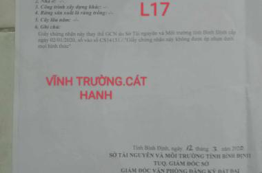 Chính chủ cần bán đất tại Huyện Phù Cát - Tỉnh Bình Định