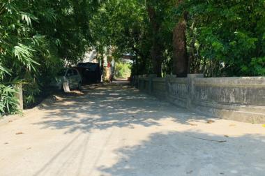 Bán đất 116m2 kiệt 15 minh mạng, phường Thủy Xuân, Huế. giá chỉ 1,25 tỷ