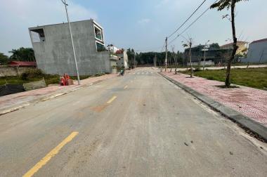 Bán ô đất dịch vụ Lai Sơn, Đồng Tâm, Vĩnh Yên Diện tích : 90m2 Giá chỉ : 1.8 tỷ.