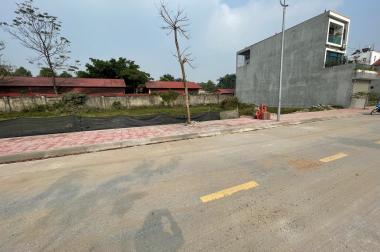 Bán ô đất dịch vụ Lai Sơn, Đồng Tâm, Vĩnh Yên Diện tích : 90m2 Giá chỉ : 1.8 tỷ.