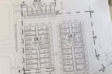 BÁN LK2 – 11 KHU TĐC HTK RUỘNG RAU CAO THẮNG,DT:60M2,MT:5M.H:Đ