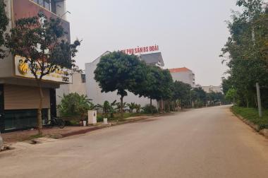Bán đất LK3 khu A Nam Đầm Vạc, Vĩnh Yên, DT 104m2