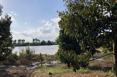 ✅Bán Gấp Homestay view Sông Đồng Nai, Huyện Tân Phú