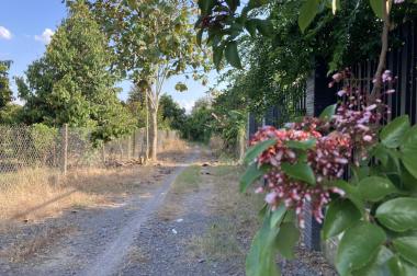 ✅Bán Gấp Homestay view Sông Đồng Nai, Huyện Tân Phú
