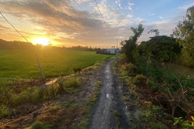 ĐẤT ĐẸP - GIÁ TỐT - Cần Bán Lô Đất Vị Trí Tại Thị trấn Phú Hoà, Thoại Sơn, An Giang