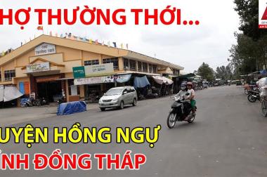 ĐẤT ĐẸP - GIÁ TỐT - Cần Bán Nhanh  Một Cặp Nền Tại Hồng Ngự, Đồng Tháp