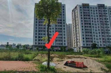  Bán đất KDC Trần Hưng Đạo, TP HD, 101.25m2, mt 5m, đường + hè rộng 17.5m, giá cực tốt