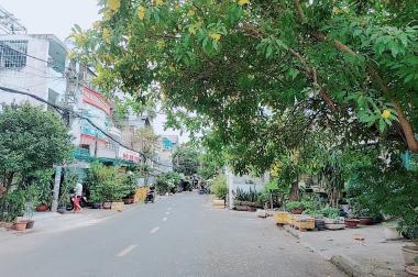 Ngôi nhà hạnh phúc Dương Đức Hiền Tân Phú 62m2 5,8 tỷ