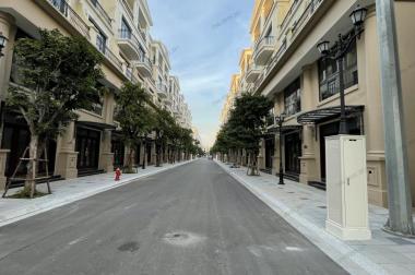 Biệt thự LK xẻ khe 98m2 hướng ĐN VIP nhất Vinhomes Ocean Park 2