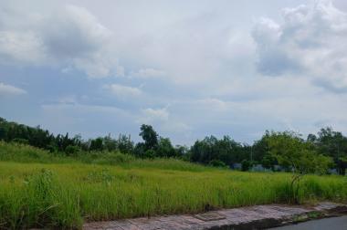 Bán đất tại Đường Nguyễn Duy Trinh, Quận 9,  Hồ Chí Minh diện tích 120m2  giá 3,960 Tỷ