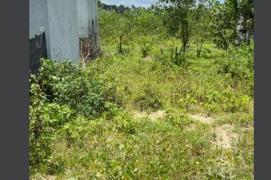 Chính chủ cần bán nhanh lô đất đẹp tại xã Thiện Tân Vĩnh Cửu, Đồng Nai.