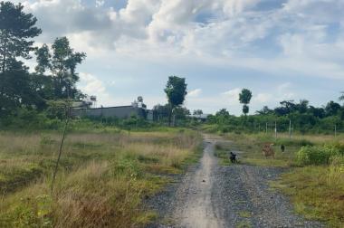 Bán đất Giá công nhân, DT; 135m2 đường 8m thông, đường  Phan đăng Lưu đi vào, giá 320 triệu