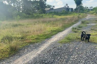 Bán đất Giá công nhân, DT; 135m2 đường 8m thông, đường  Phan đăng Lưu đi vào, giá 320 triệu