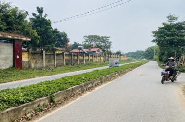 Bán đất tại Định Trung, Vĩnh yên, Vĩnh Phúc. DT 550m2 giá 15 triệu/m2