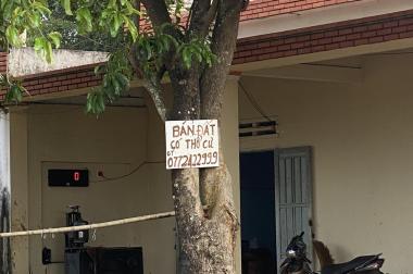 Bán đất mặt tiền quốc lộ 14 - Khu trung tâm xã đắc gềnh - Đắc Mil - Đắc nông