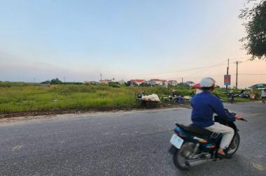 Bán đất mặt đường 196 Xã Đại Đồng, Văn Lâm, Hưng Yên