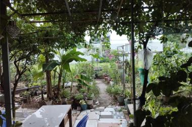Biệt thự vườn Ehome 4 Vĩnh Phú Thuận An Bình Dương 82.5m + 250m vườn