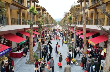 Mở bán biệt thự Wyndham Thanh Thủy bàn giao full nội thất phong cách nhật 7 tỷ. CK 38%