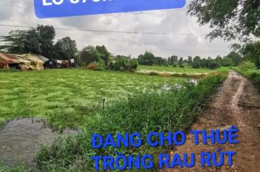 Đất 878m2 nhỉnh 4 tỷ Lê Văn Khương Đông Thạnh Hóc Môn TPHCM