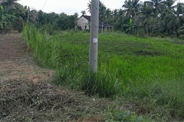 Cần Bán Nhanh Lô Đất Tiềm năng- Giá Tốt tại huyện Tam Bình, tỉnh Vĩnh Long